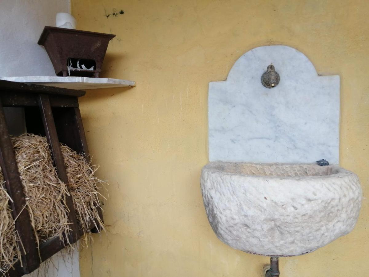 مبيت وإفطار Stazzema Il Metato Di Gallena المظهر الخارجي الصورة